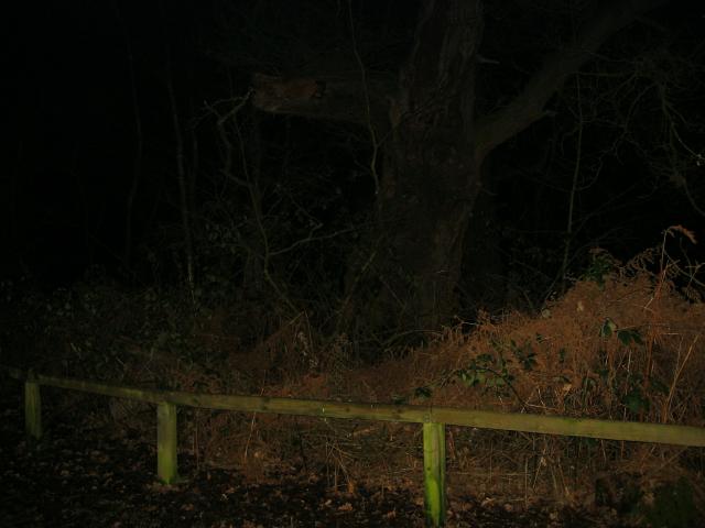 104-0442_IMG