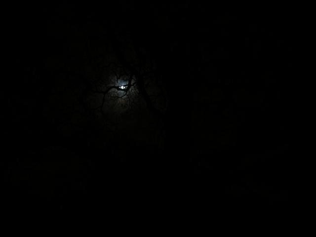 104-0444_IMG