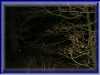 104-0432_IMG