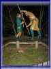 104-0437_IMG