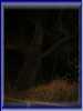 104-0443_IMG