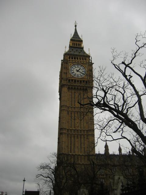 105-0555_IMG