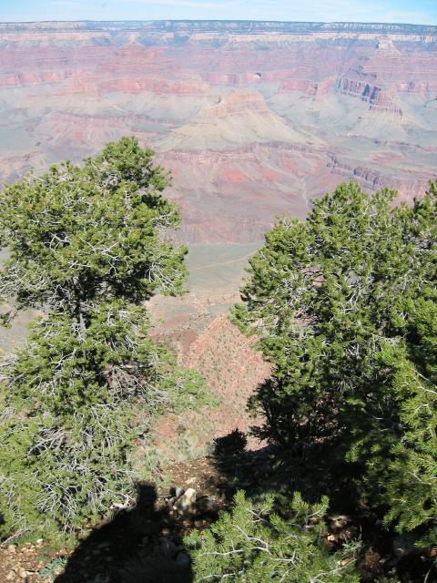 GCanyon04-0040