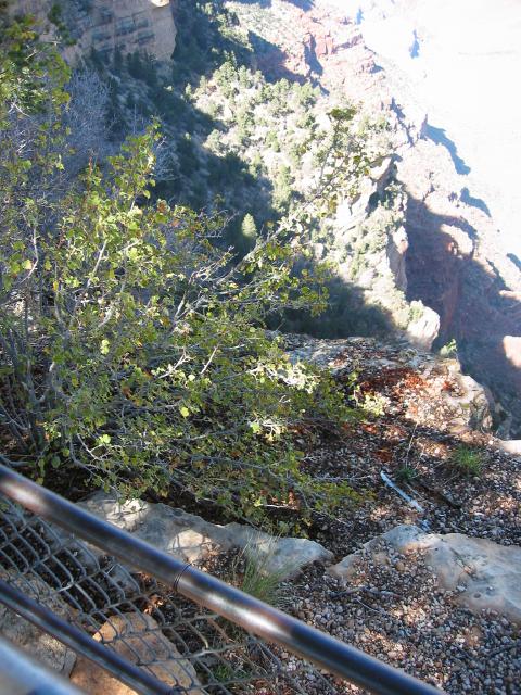 GCanyon04-0063