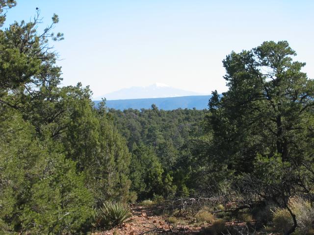 GCanyon04-0111