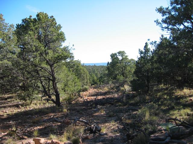 GCanyon04-0112