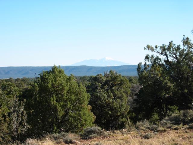 GCanyon04-0117