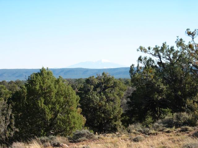 GCanyon04-0118