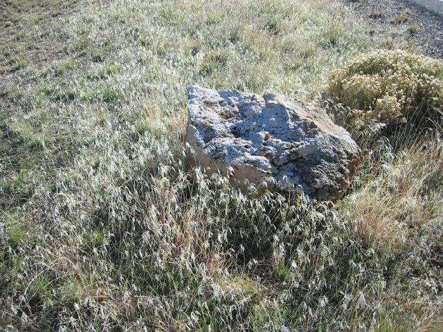 GCanyon04-0119