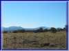 GCanyon04-0011