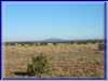 GCanyon04-0013