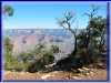 GCanyon04-0031