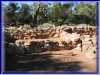 GCanyon04-0109
