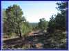 GCanyon04-0112