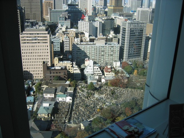 Image 16 of 181  -  102 kB