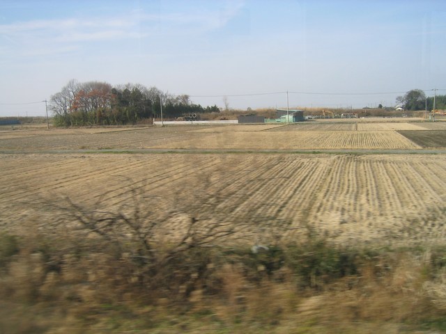Image 43 of 181  -  64 kB