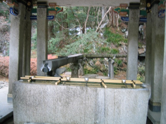 Image 95 of 181  -  83 kB