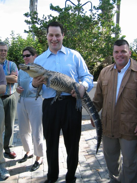 Image 34 of 65  -  100 kB