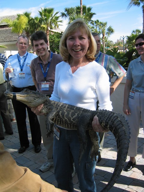 Image 35 of 65  -  90 kB