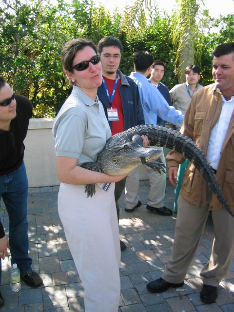 Image 39 of 65  -  104 kB