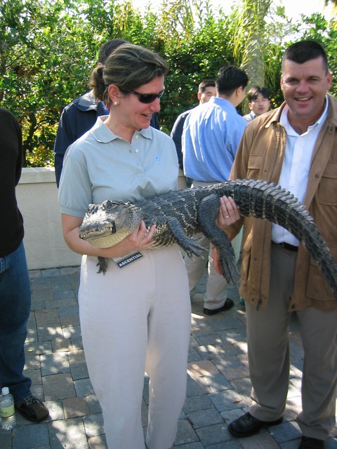 Image 40 of 65  -  97 kB