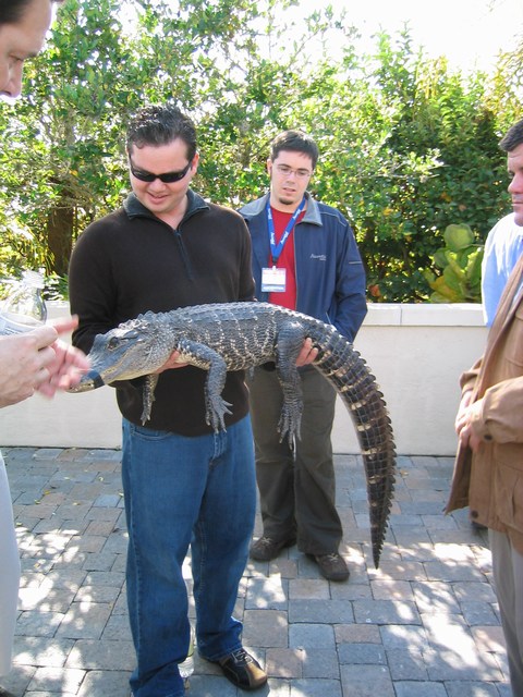 Image 41 of 65  -  110 kB