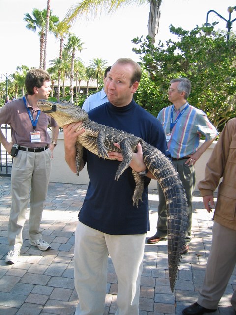 Image 45 of 65  -  101 kB