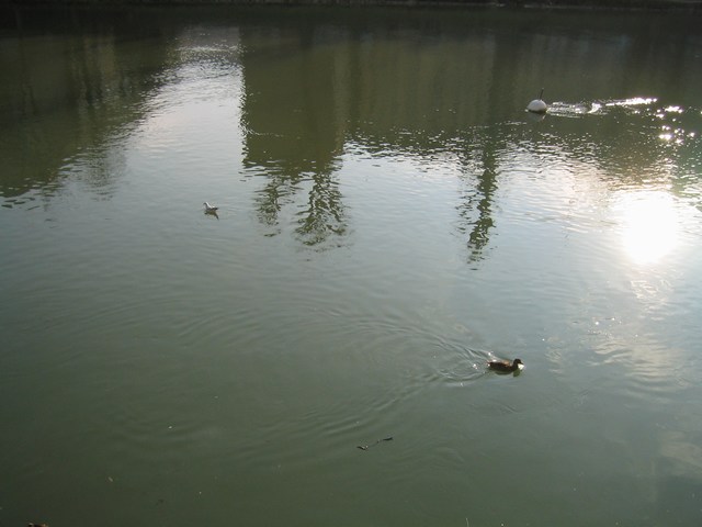 Image 22 of 80  -  47 kB