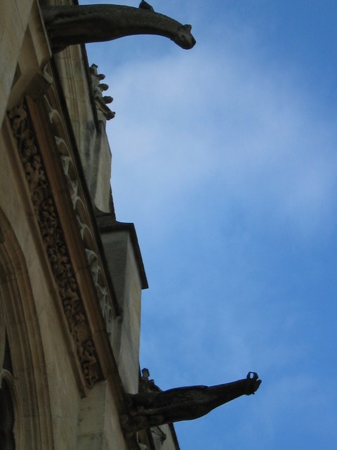 Image 47 of 80  -  39 kB