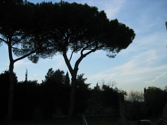 Image 37 of 845  -  56 kB