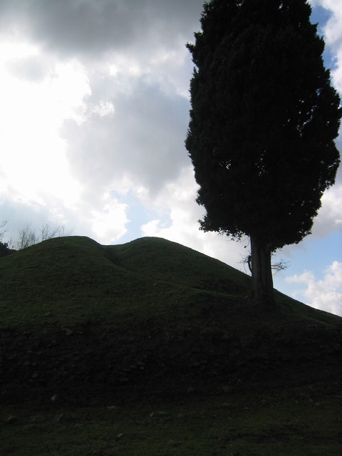 Image 665 of 845  -  43 kB