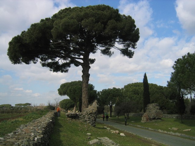 Image 704 of 845  -  72 kB