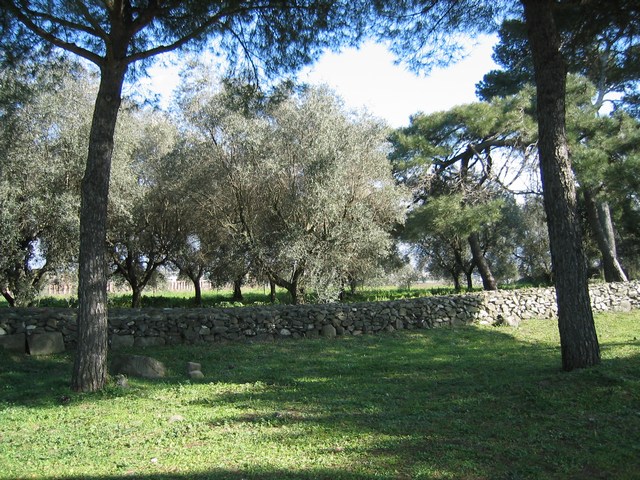 Image 747 of 845  -  141 kB