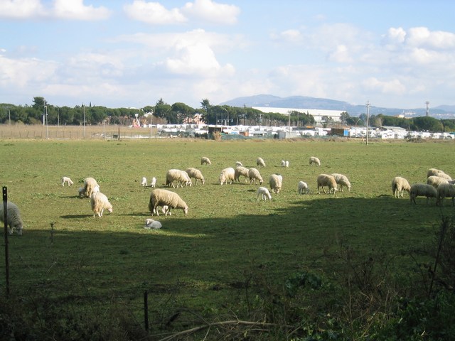 Image 764 of 845  -  77 kB