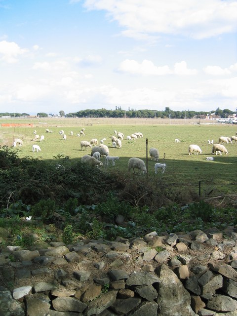 Image 765 of 845  -  82 kB