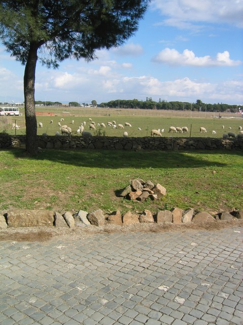 Image 766 of 845  -  100 kB