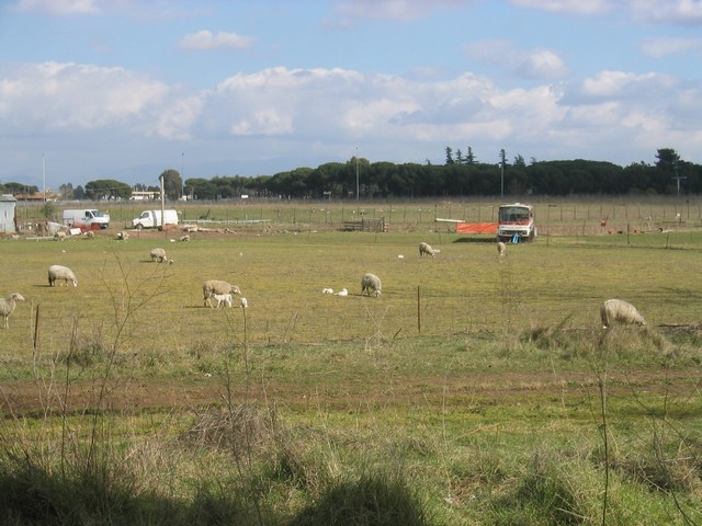 Image 772 of 845  -  82 kB