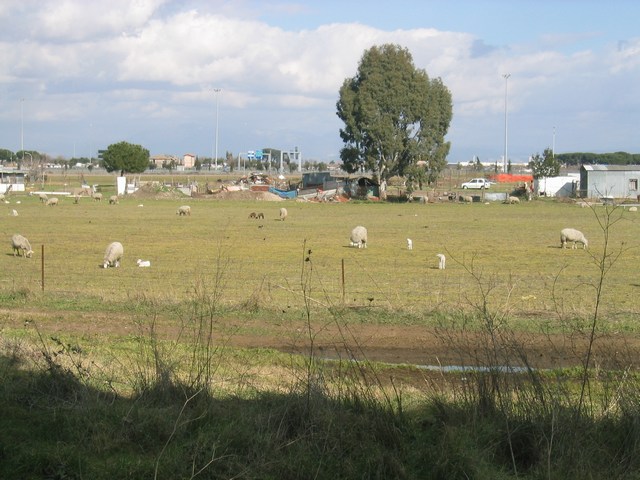 Image 773 of 845  -  83 kB