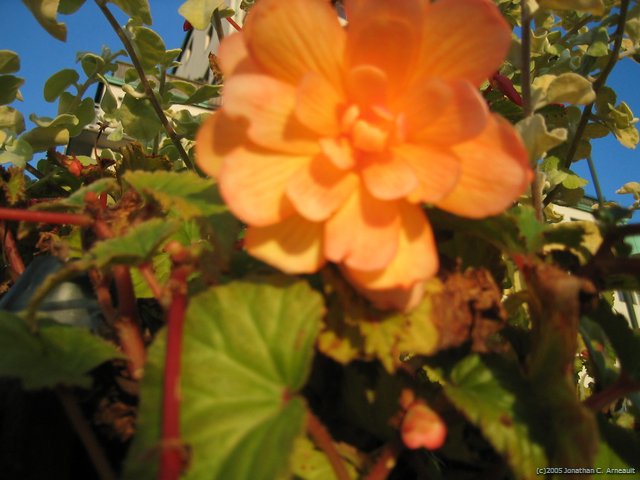 Image 29 of 72  -  55 kB
