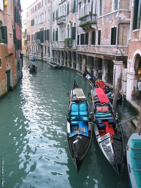 Image 55 of 378  -  96 kB