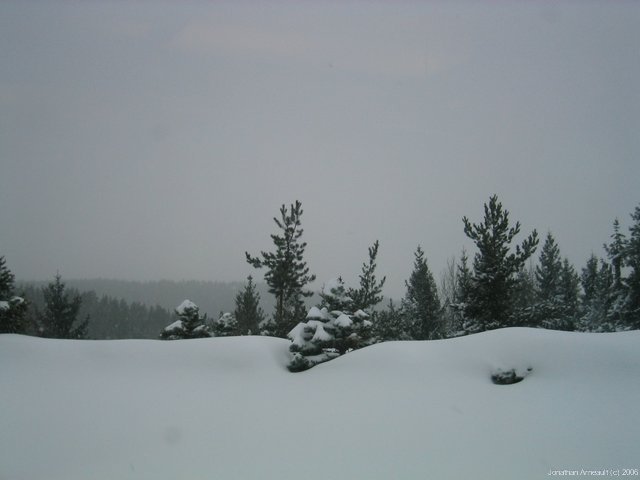 Image 2 of 12  -  25 kB