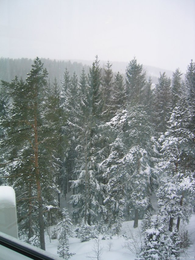 Image 5 of 12  -  130 kB