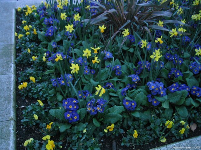 Image 54 of 72  -  83 kB