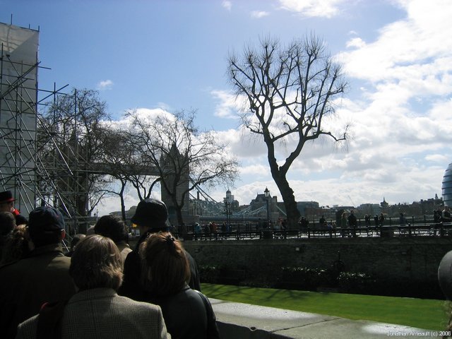 Image 6 of 186  -  68 kB