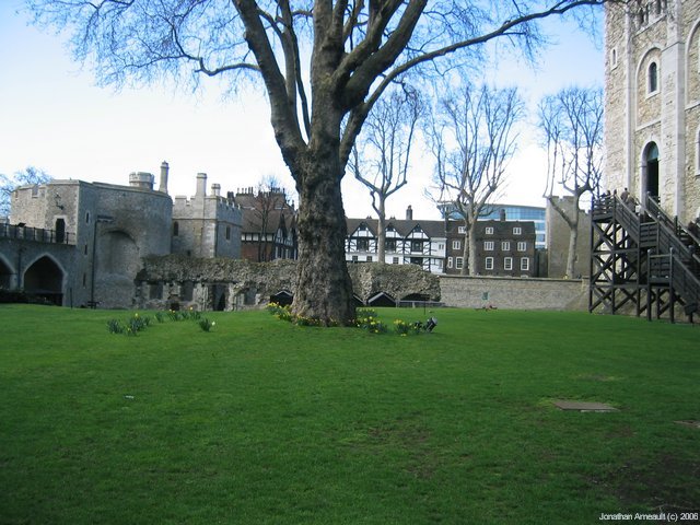Image 42 of 186  -  80 kB