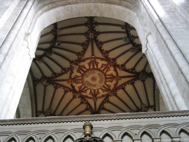 Image 56 of 287  -  64 kB