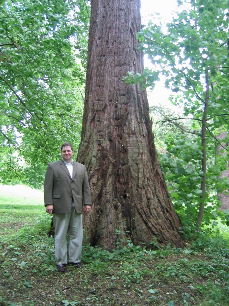 Image 105 of 126  -  266 kB