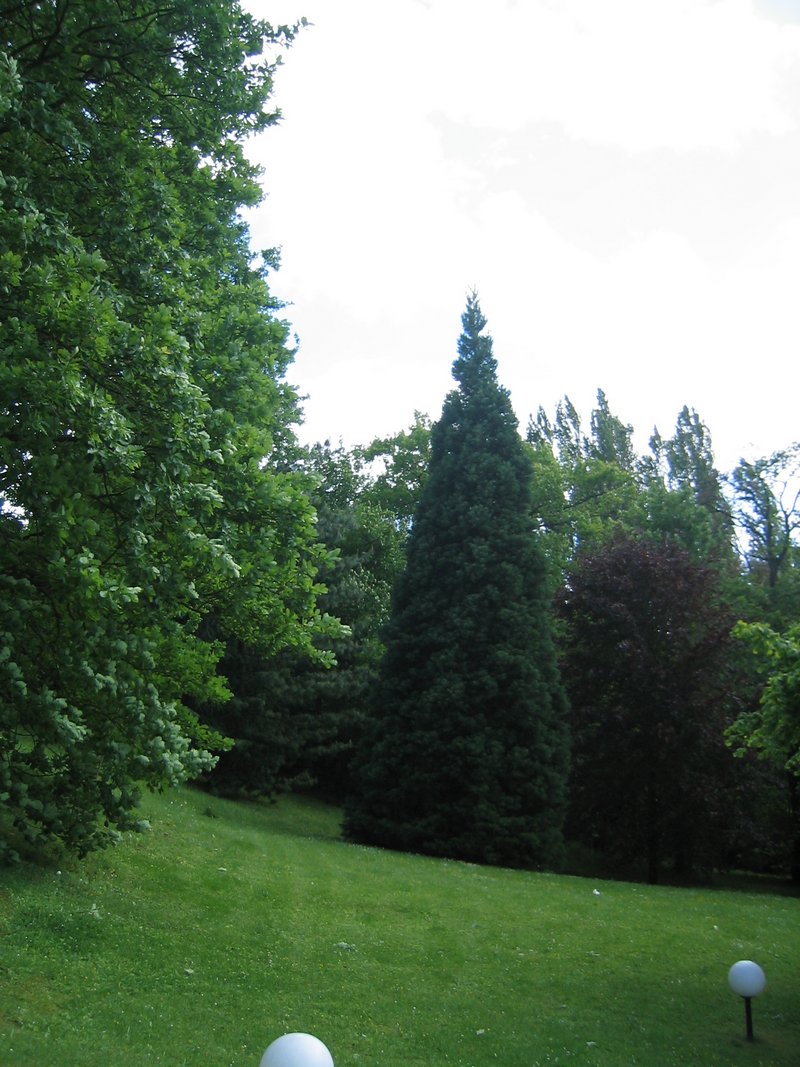 Image 112 of 126  -  167 kB