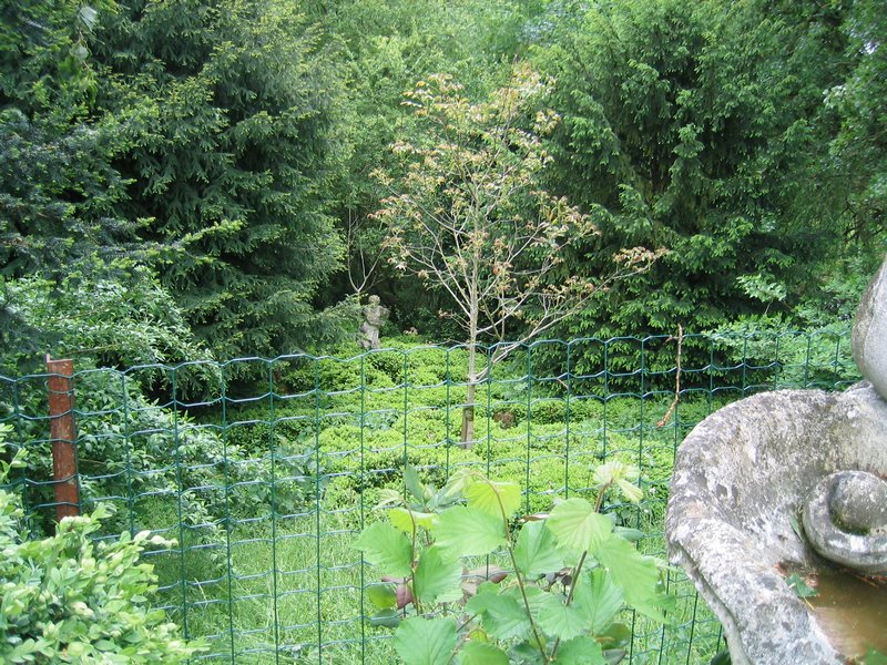 Image 24 of 33  -  199 kB