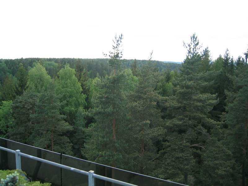 Image 2 of 55  -  89 kB